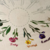 Taller - Muestrario de flores